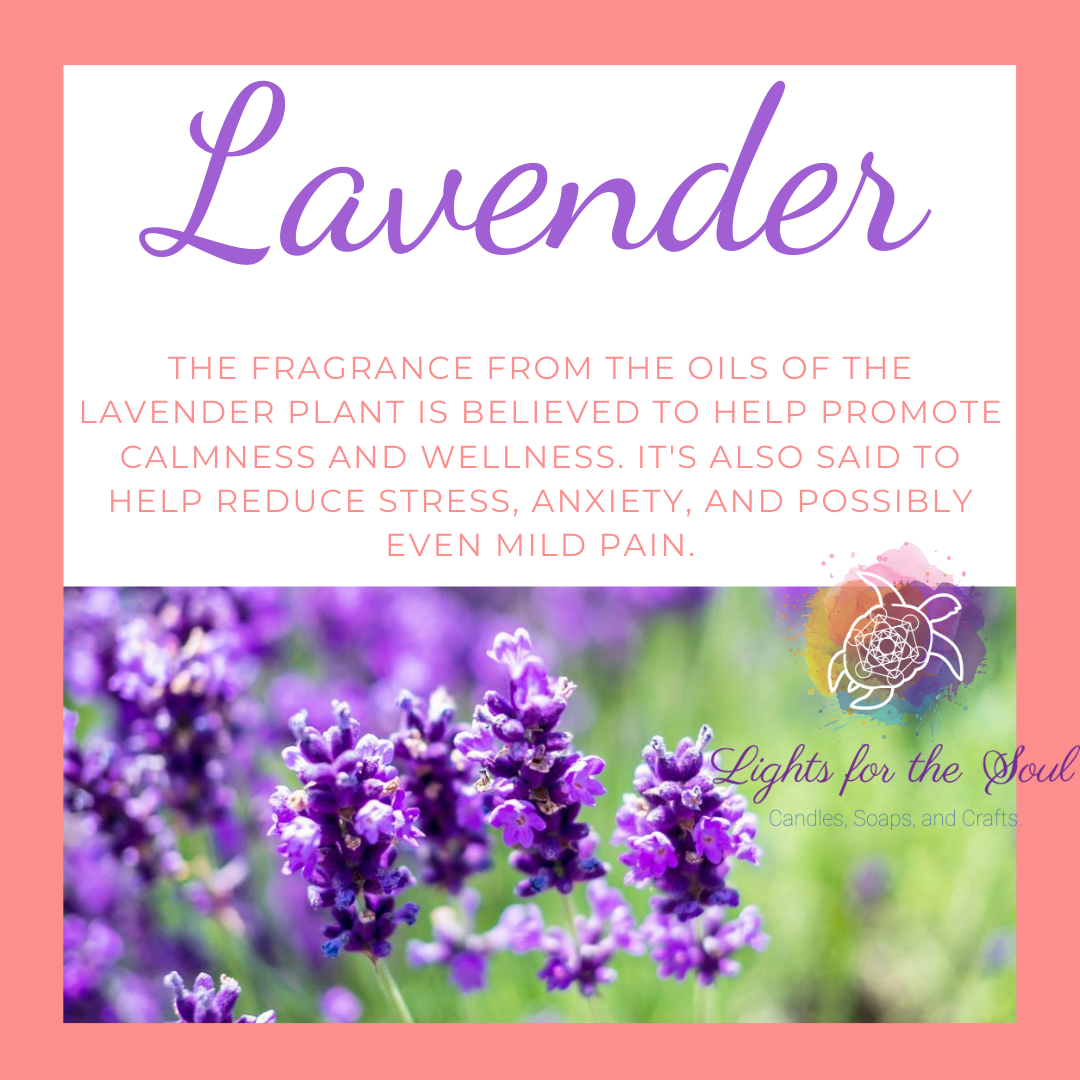 Lavender