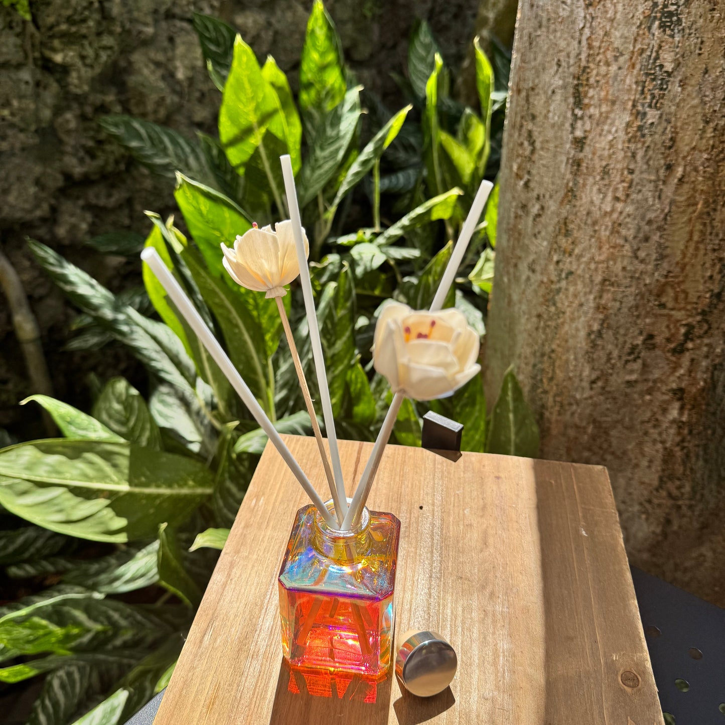 Room Diffusers