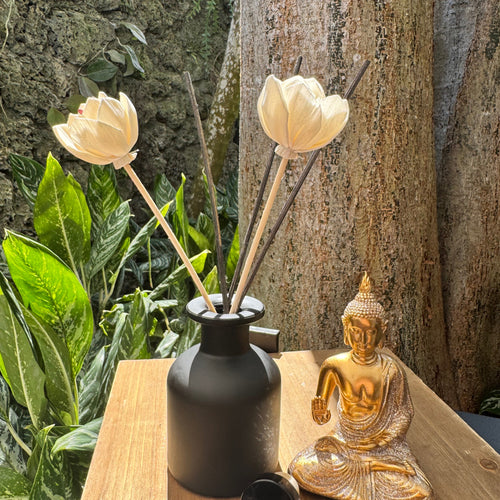 Room Diffusers