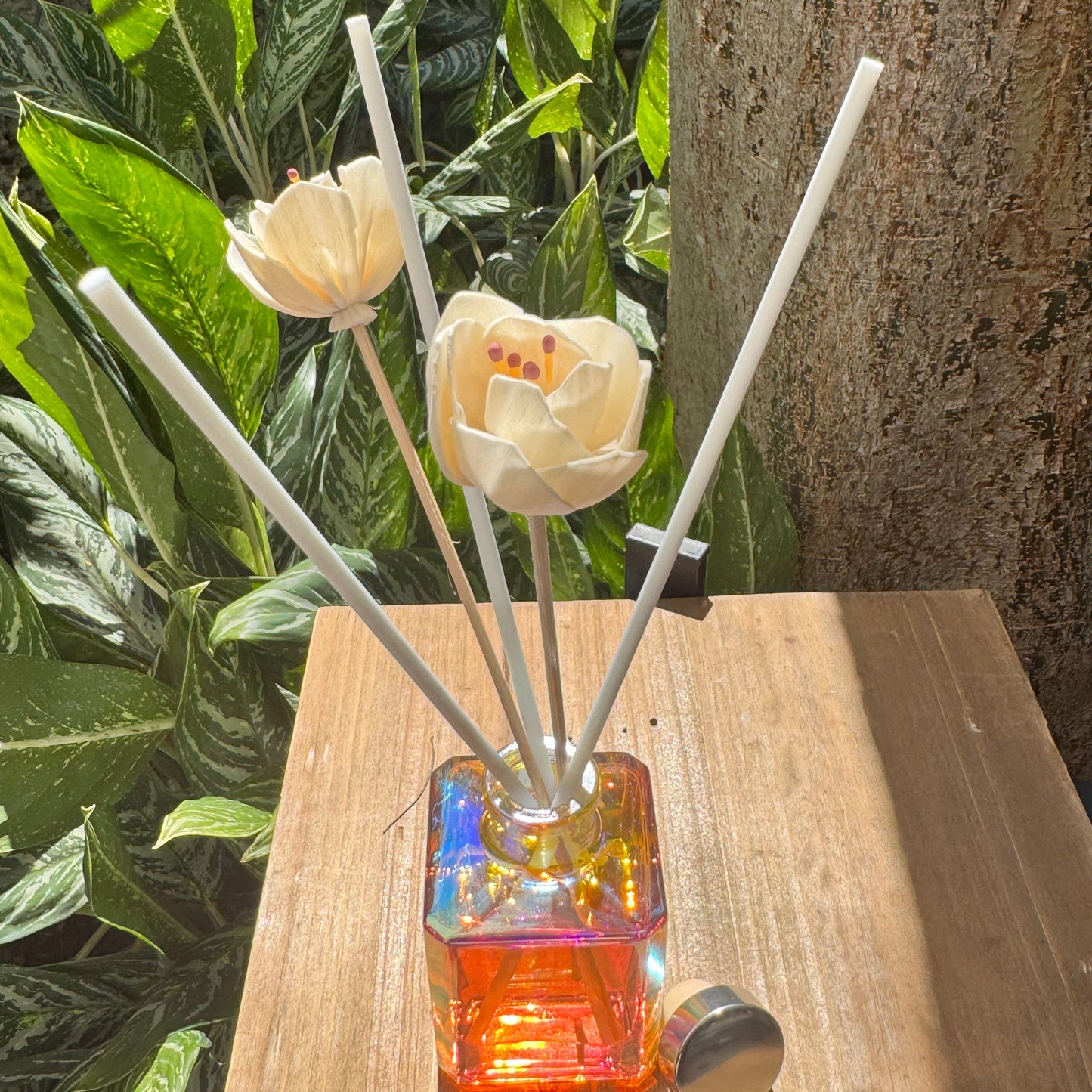 Room Diffusers