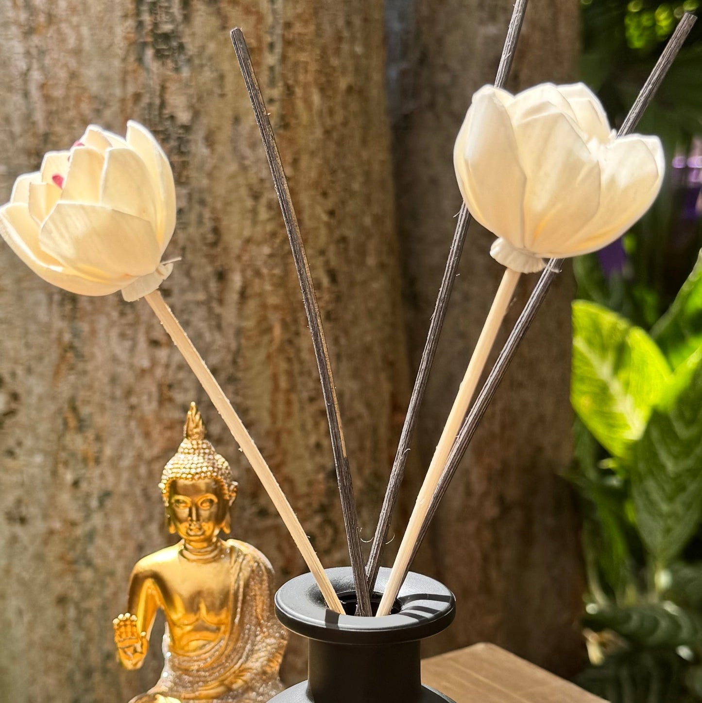 Room Diffusers